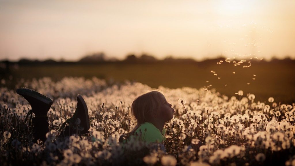 flowers, child, girl