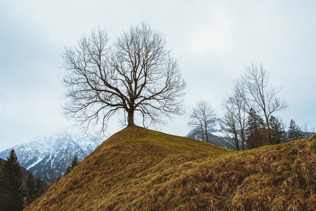 landscape, mountain, nature