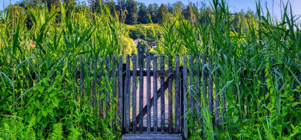 garden fence, wood fence, wooden door-5346252.jpg